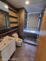 Suites @ Cairnhill (D9), Apartment #496053041